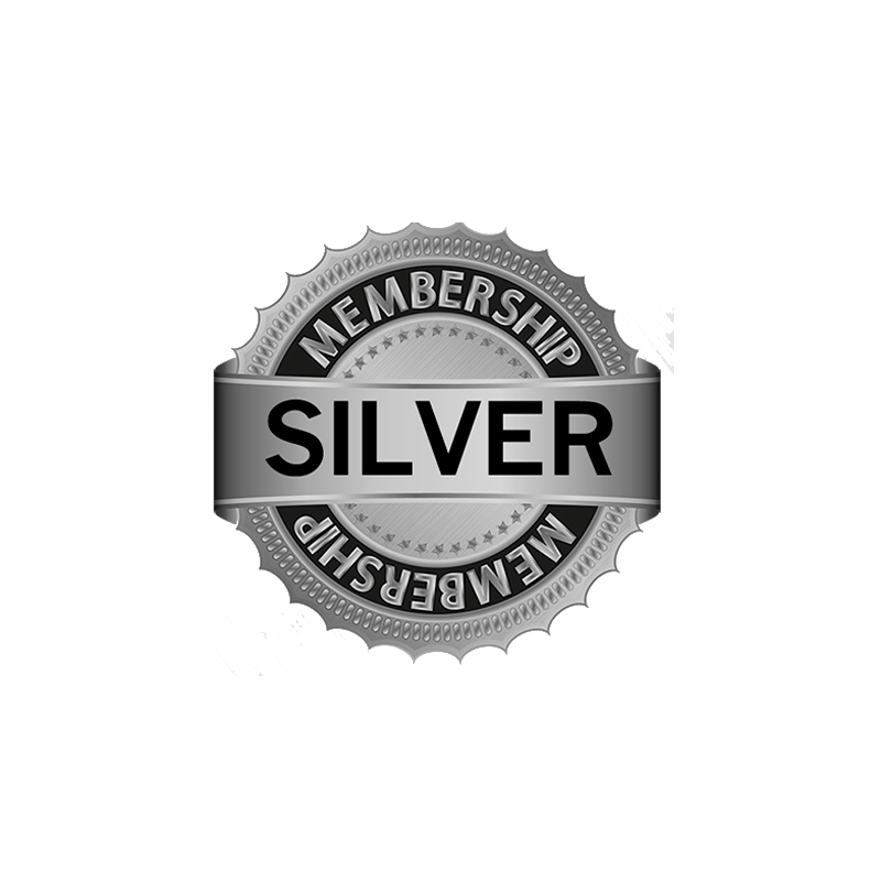 Silver Level